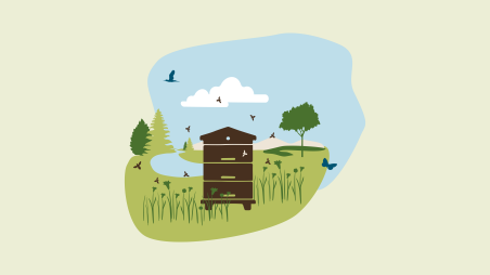 CSR_biodiversitet
